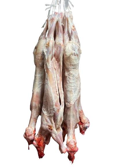 LECHAZO + 7,50 kg. CON/CABEZA.