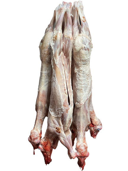 LECHAZO + 7,50 kg. CON/CABEZA.