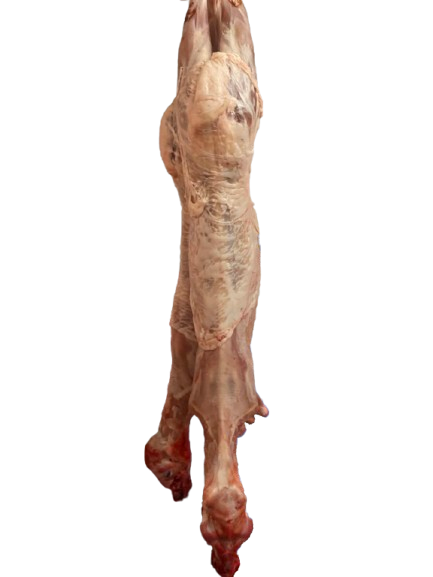 LECHAZO - 7,50 kg. CON/CABEZA.